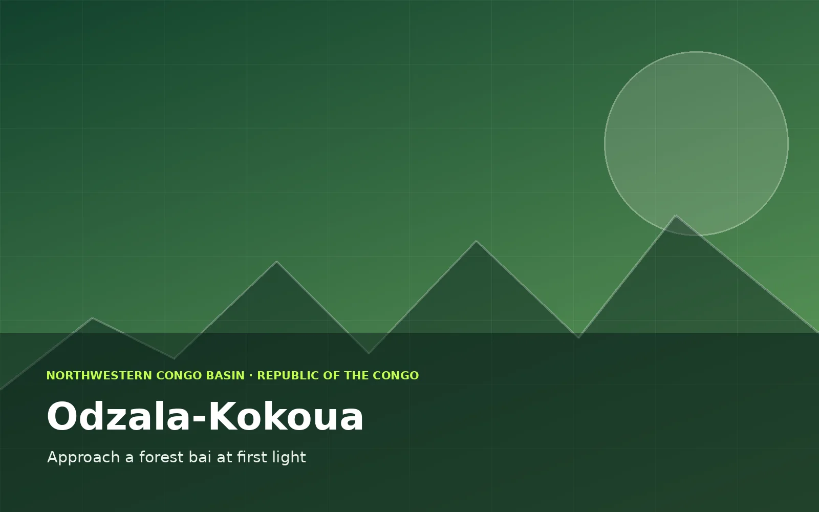 Odzala-Kokoua, Republic of the Congo