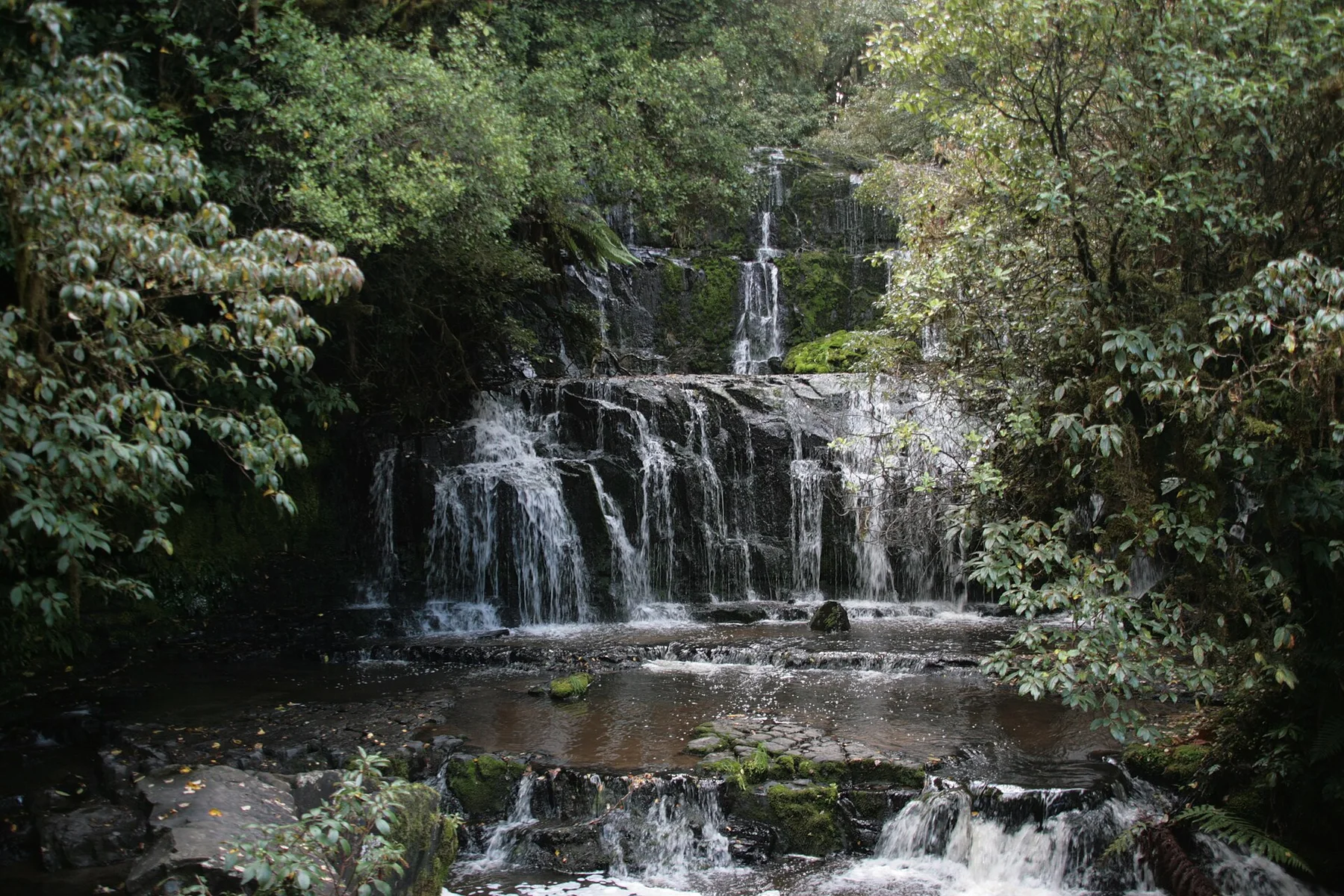 The Catlins - view 14