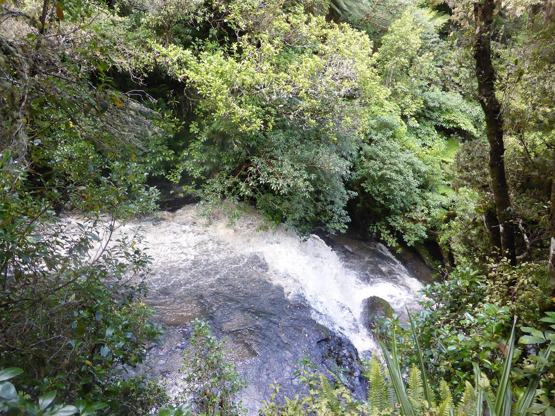 Purakaunui River at the top of the waterfall