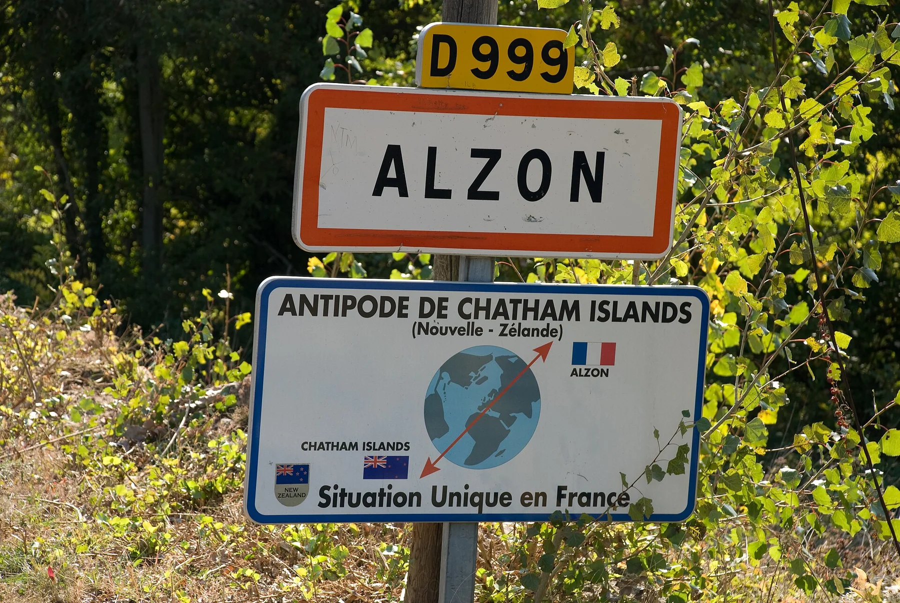 Chatham Islands - view 11