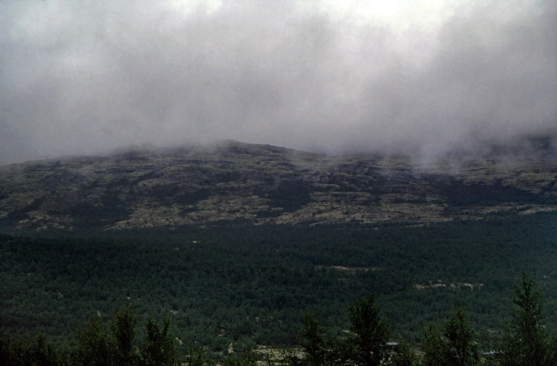 Dovrefjell - view 13
