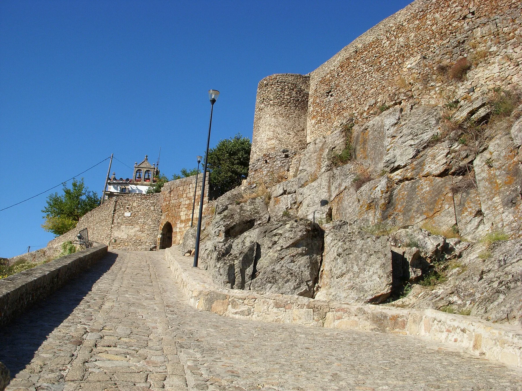 Extremadura Dehesa — view 3