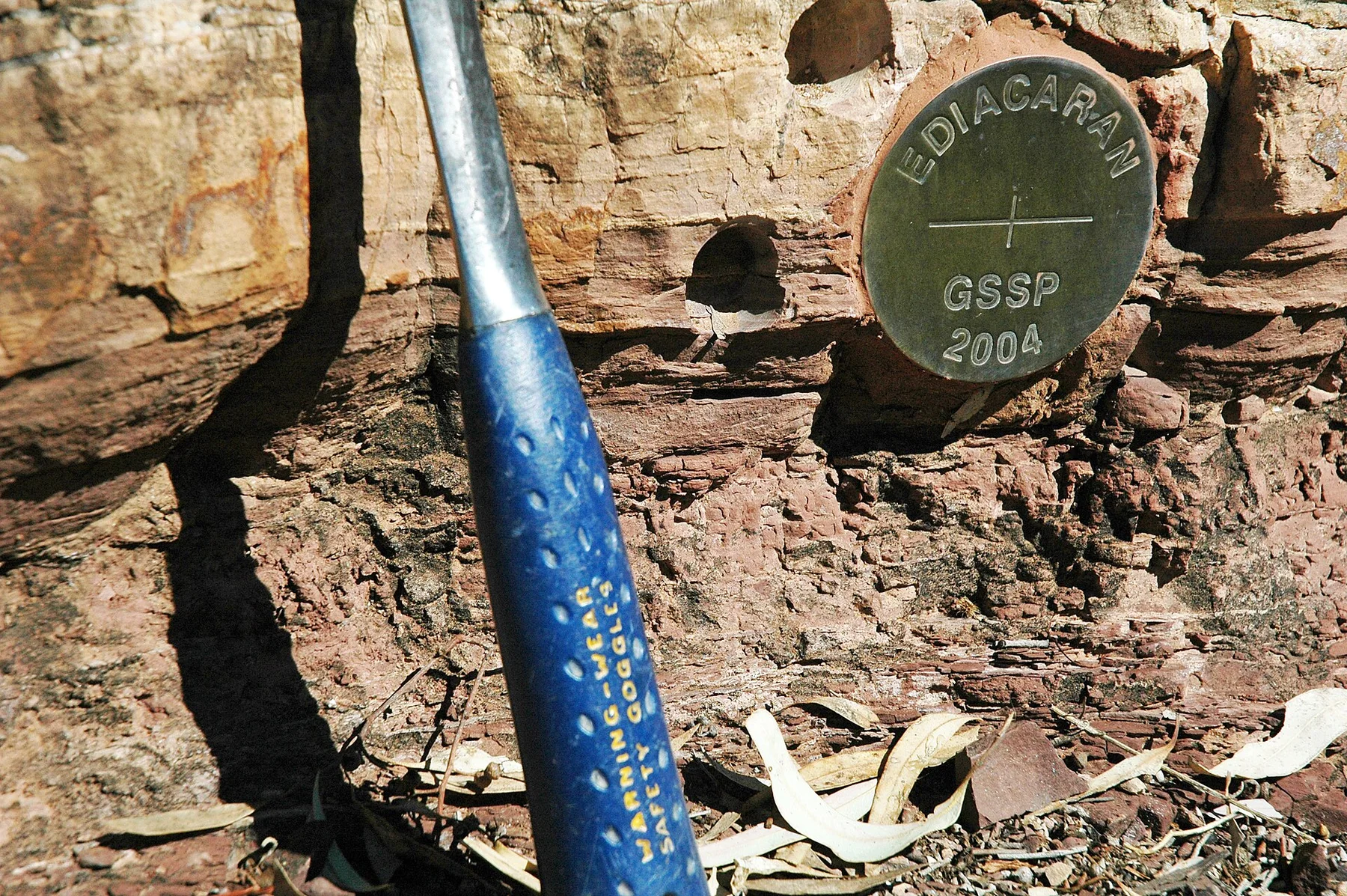 Cryogenian-Ediacaran boundary (basal Nuccaleena Formation, Neoproterozoic; Enorama Creek section, Flinders Ranges, South Australia) 17