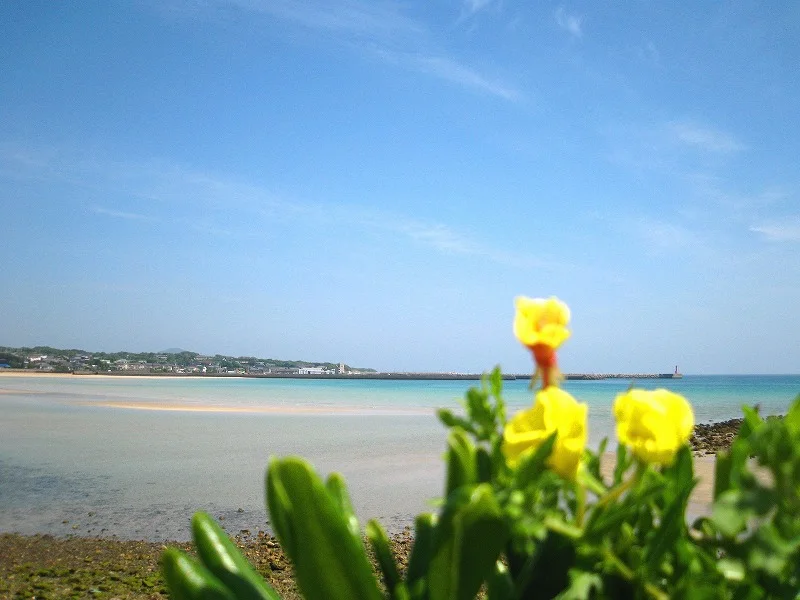 Goto Islands — view 6