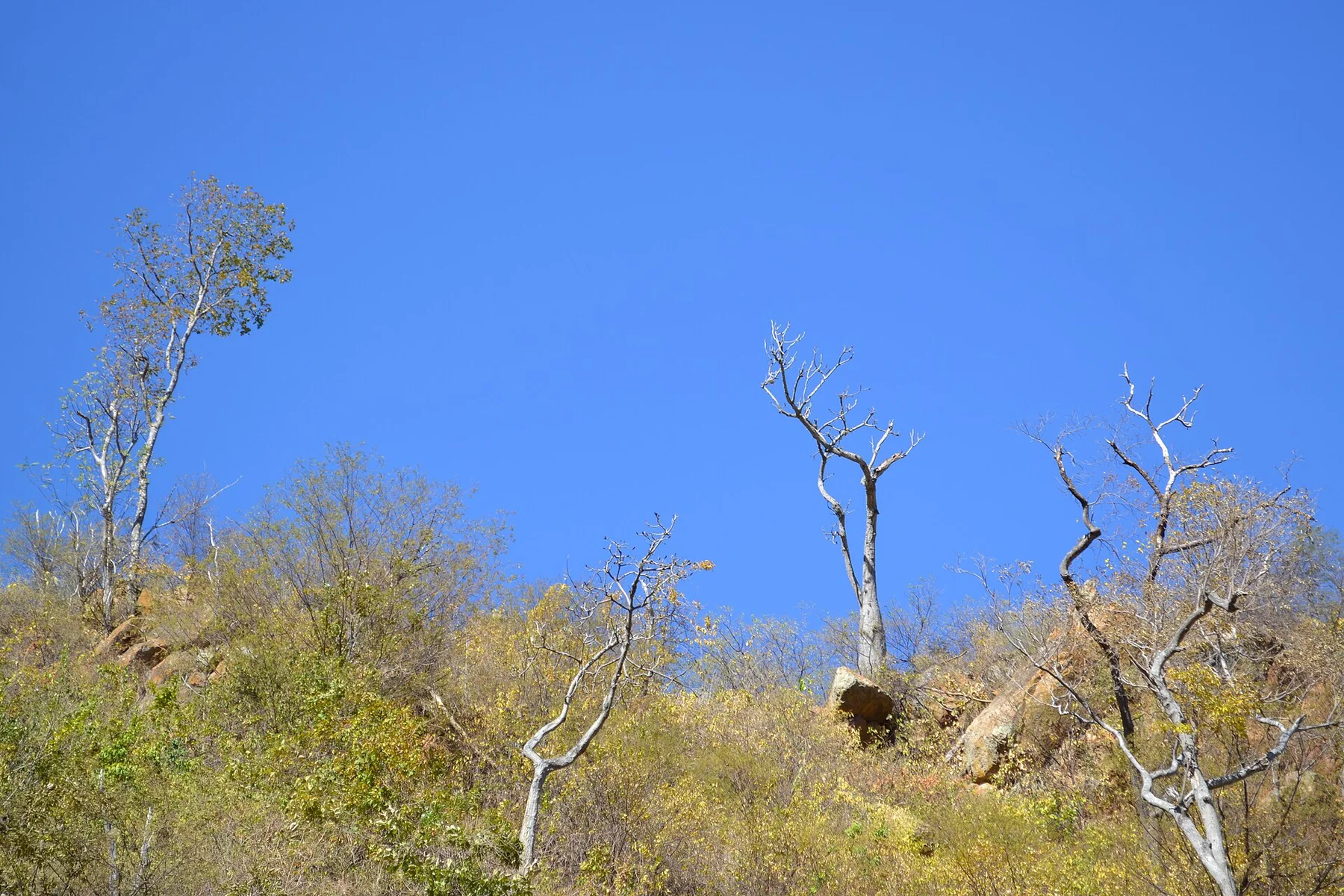 Guajira Peninsula — view 6