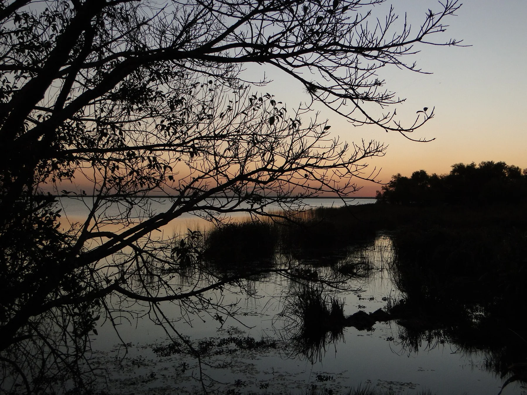 Ibera Wetlands