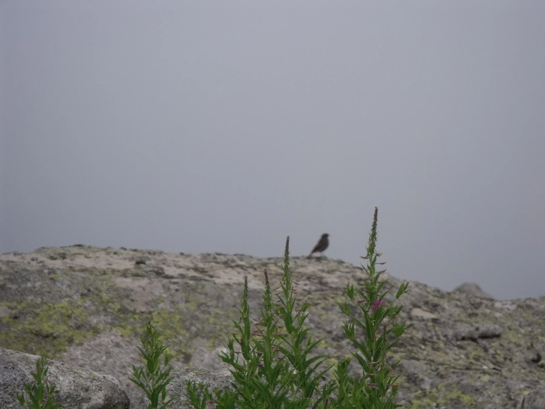 Kackar Mountains - view 12