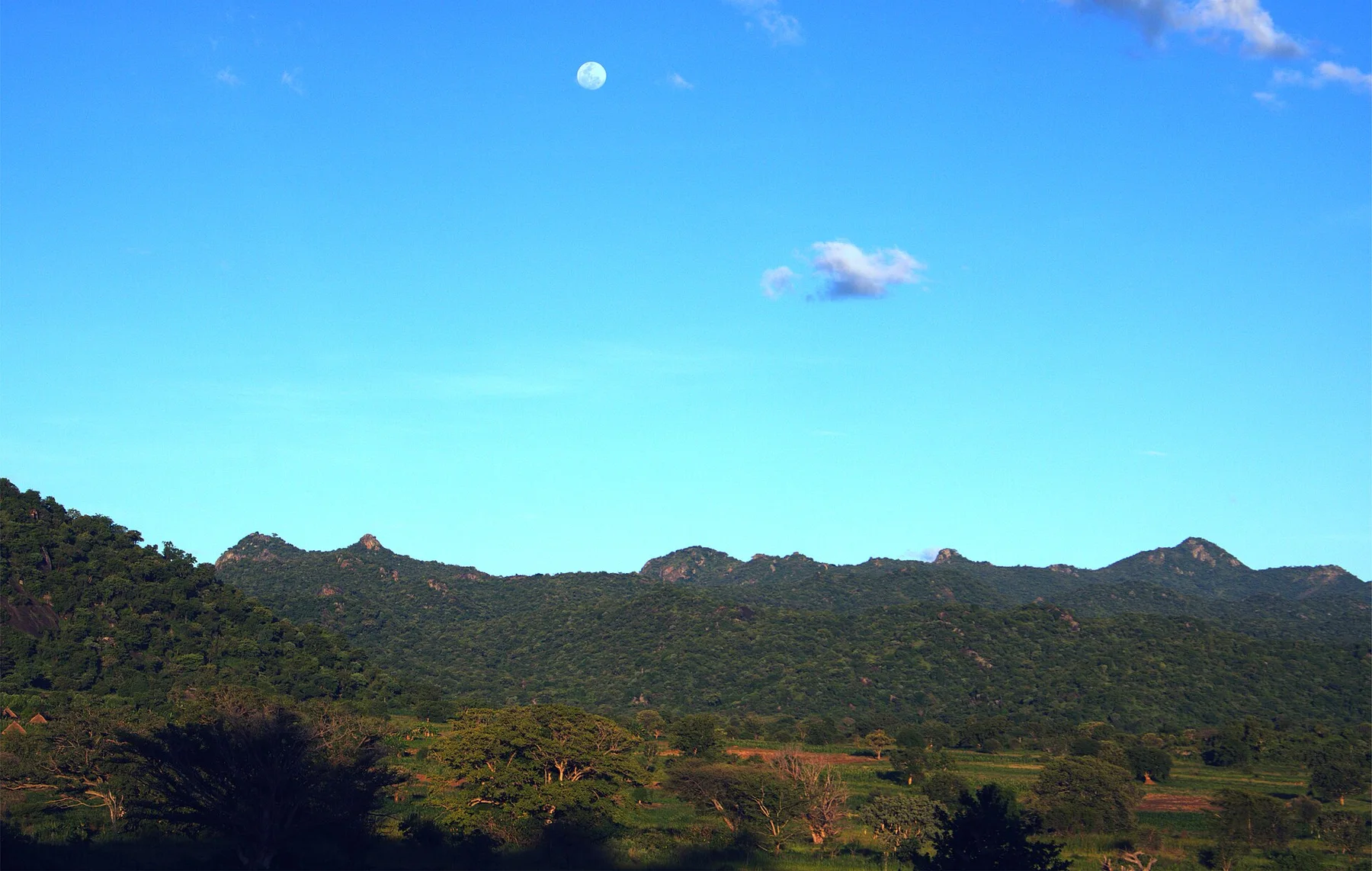 "Daytime Magic,The Moon's Enigmatic Presence in Kidepo Valley"