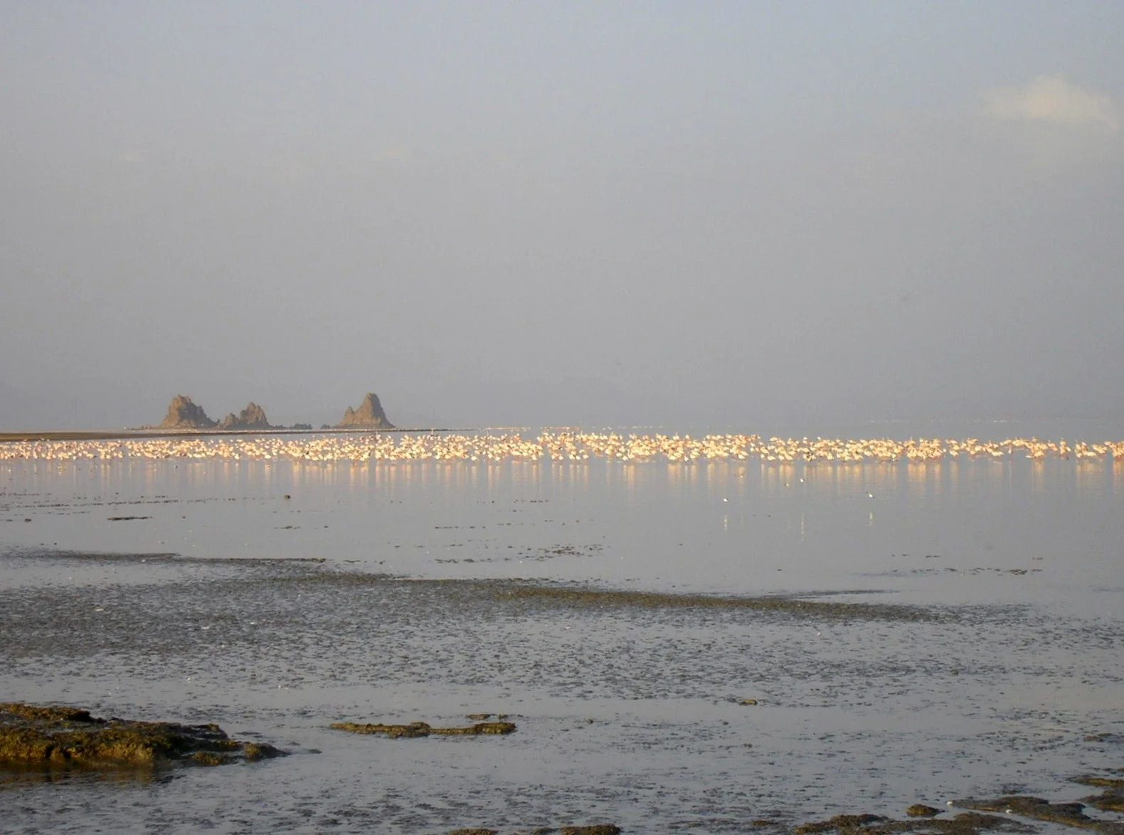Lacul Abbe - vedere 9