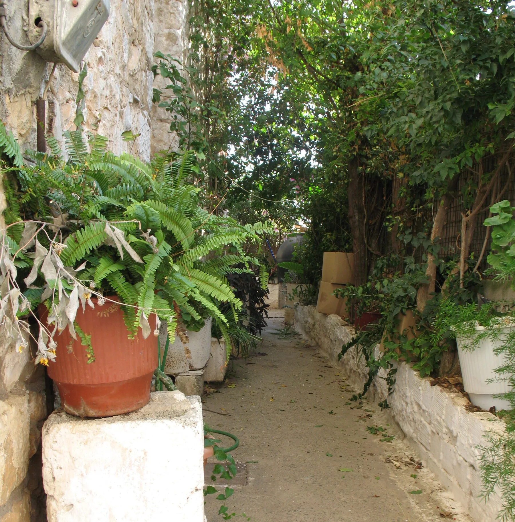Mani Peninsula - view 8