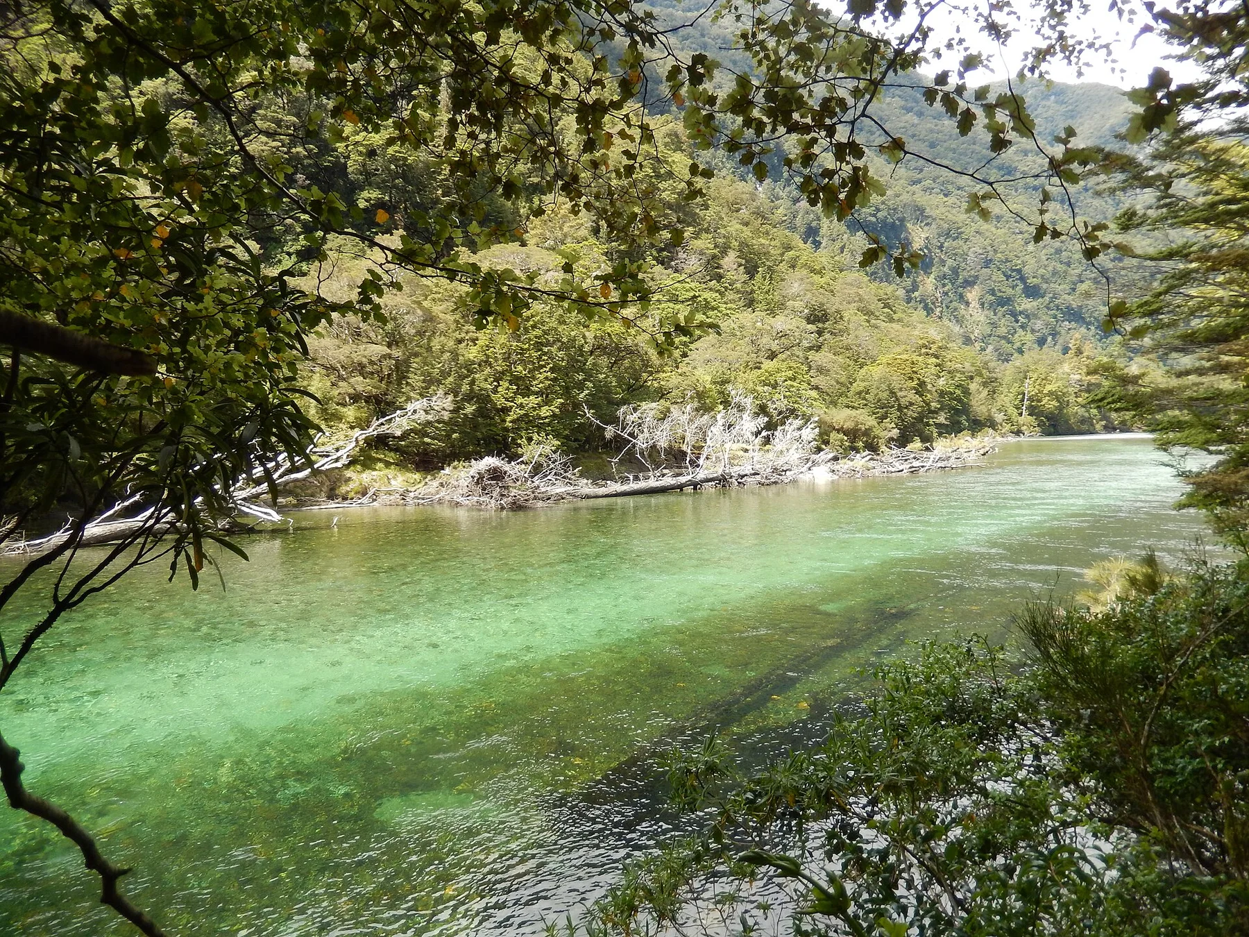 Milford Track — view 6