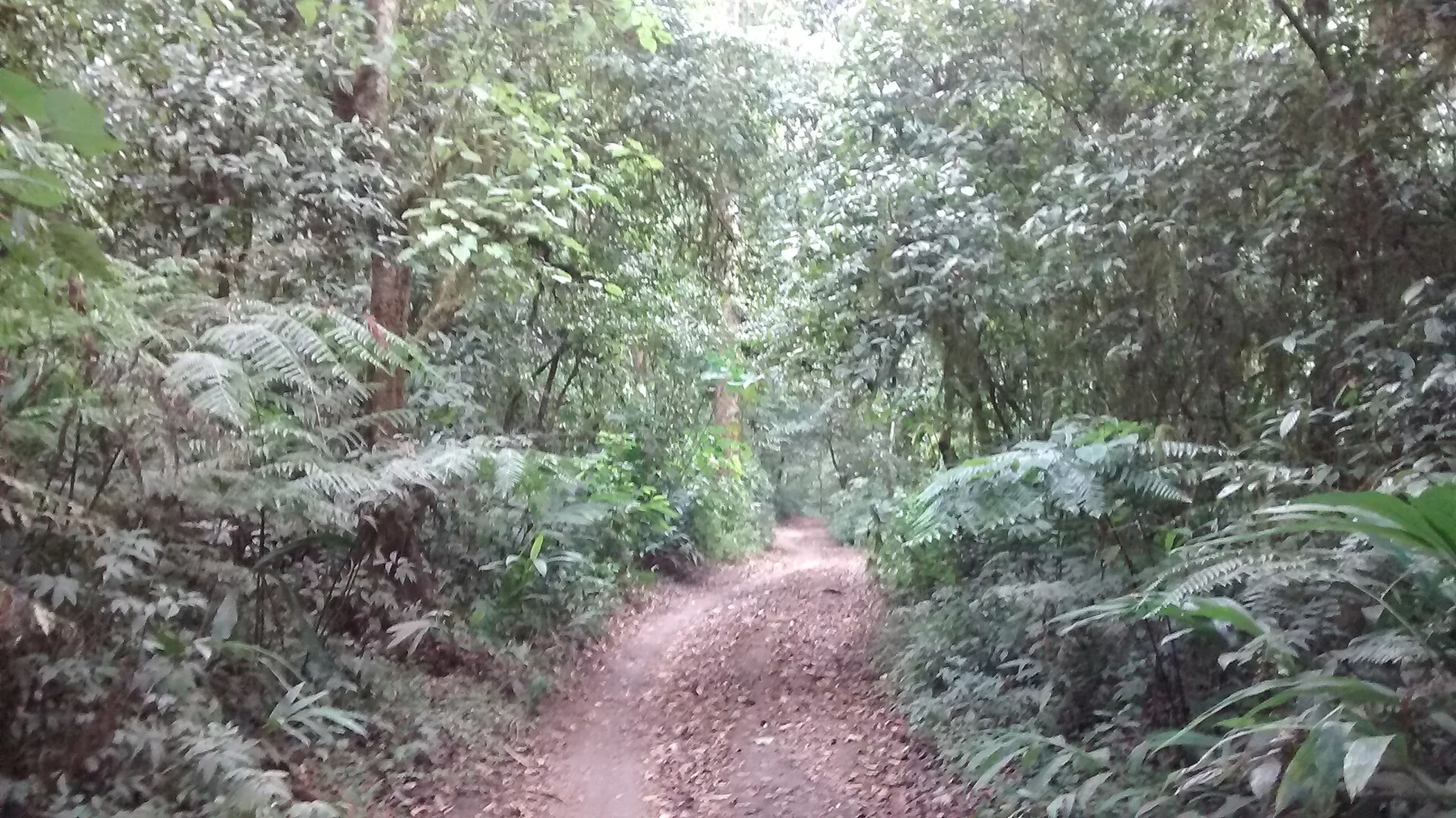 Tinuturile inalte Munduk — view 5