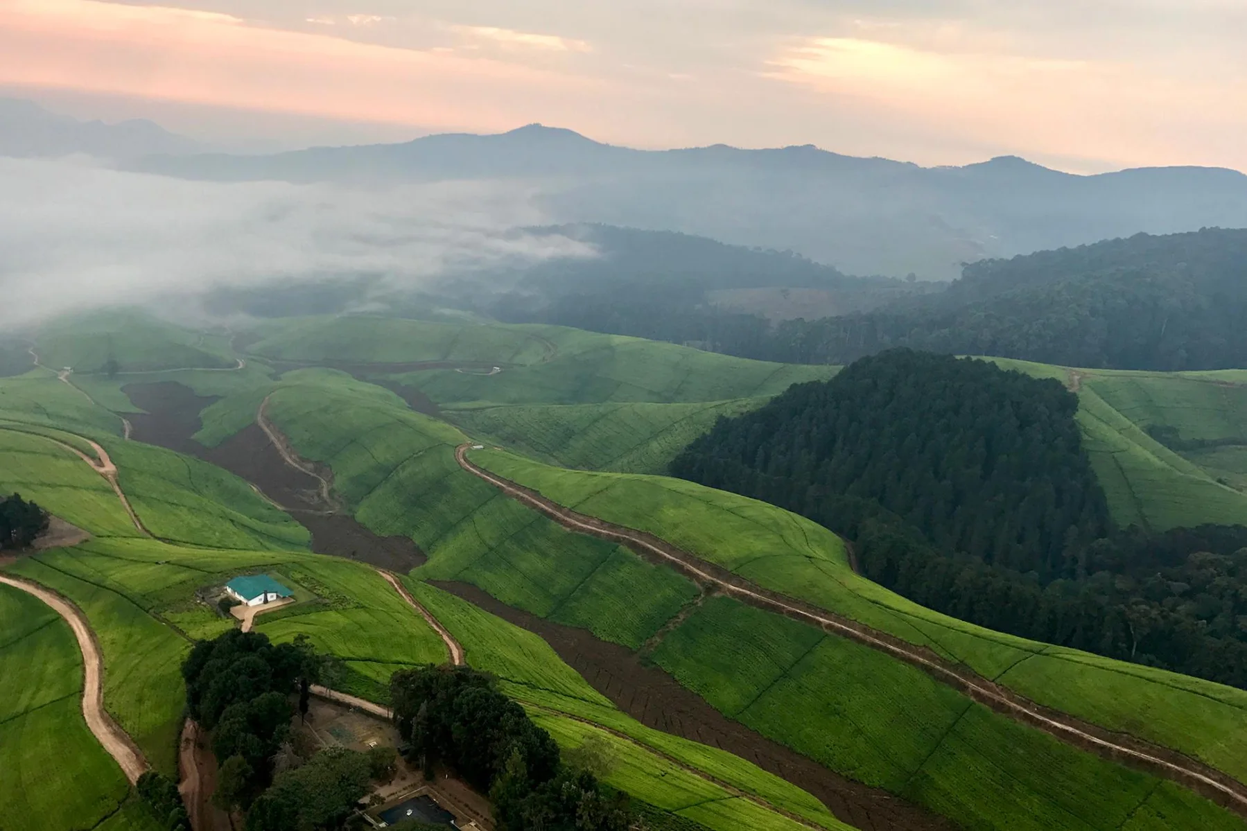 Padurea Nyungwe