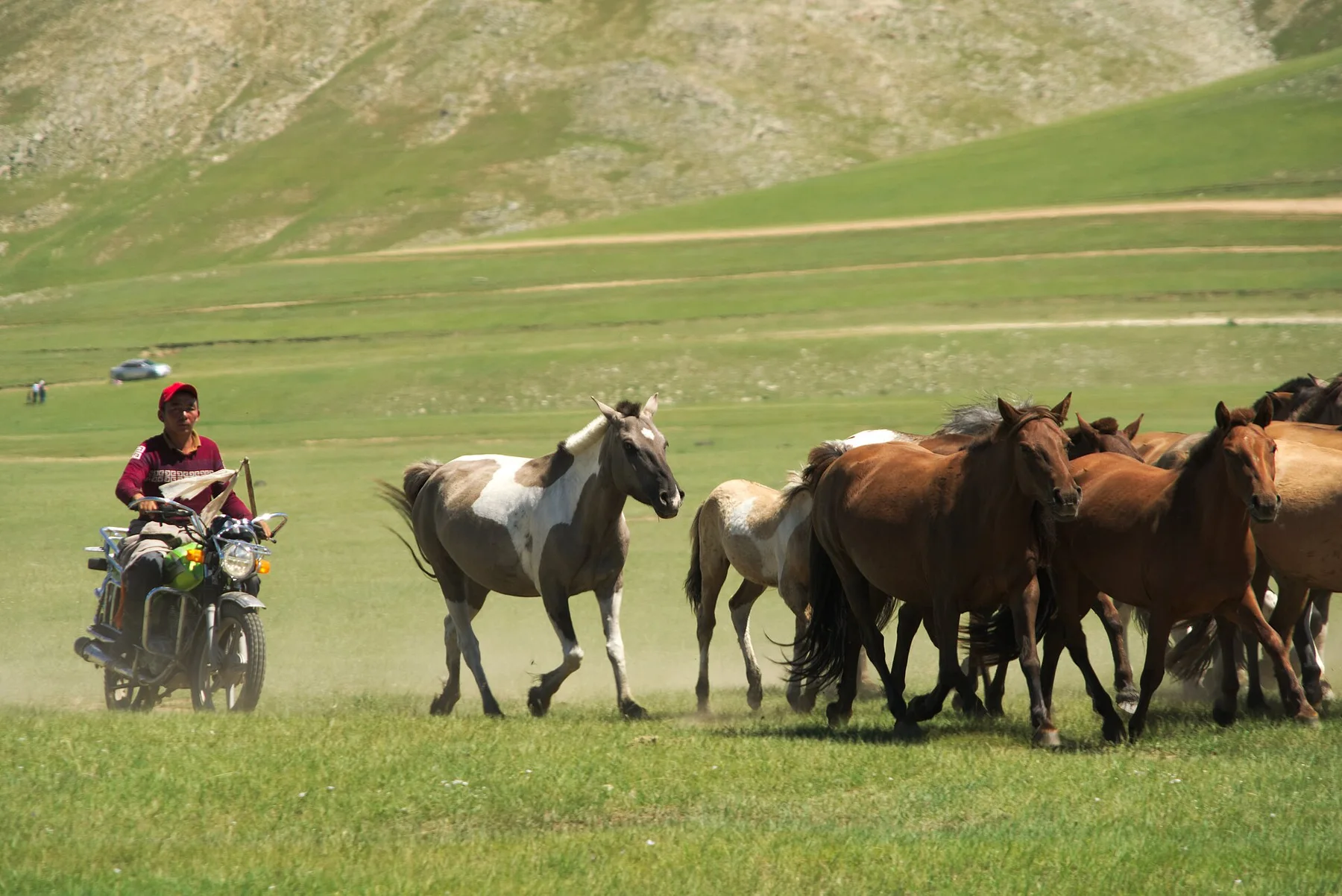 Nomadic herders of Mongolia (28248595509)