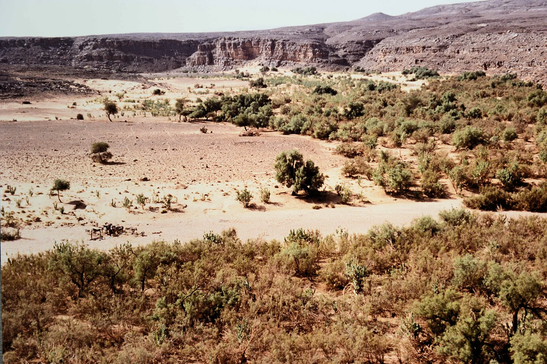 Tassili n'Ajjer - vedere 10