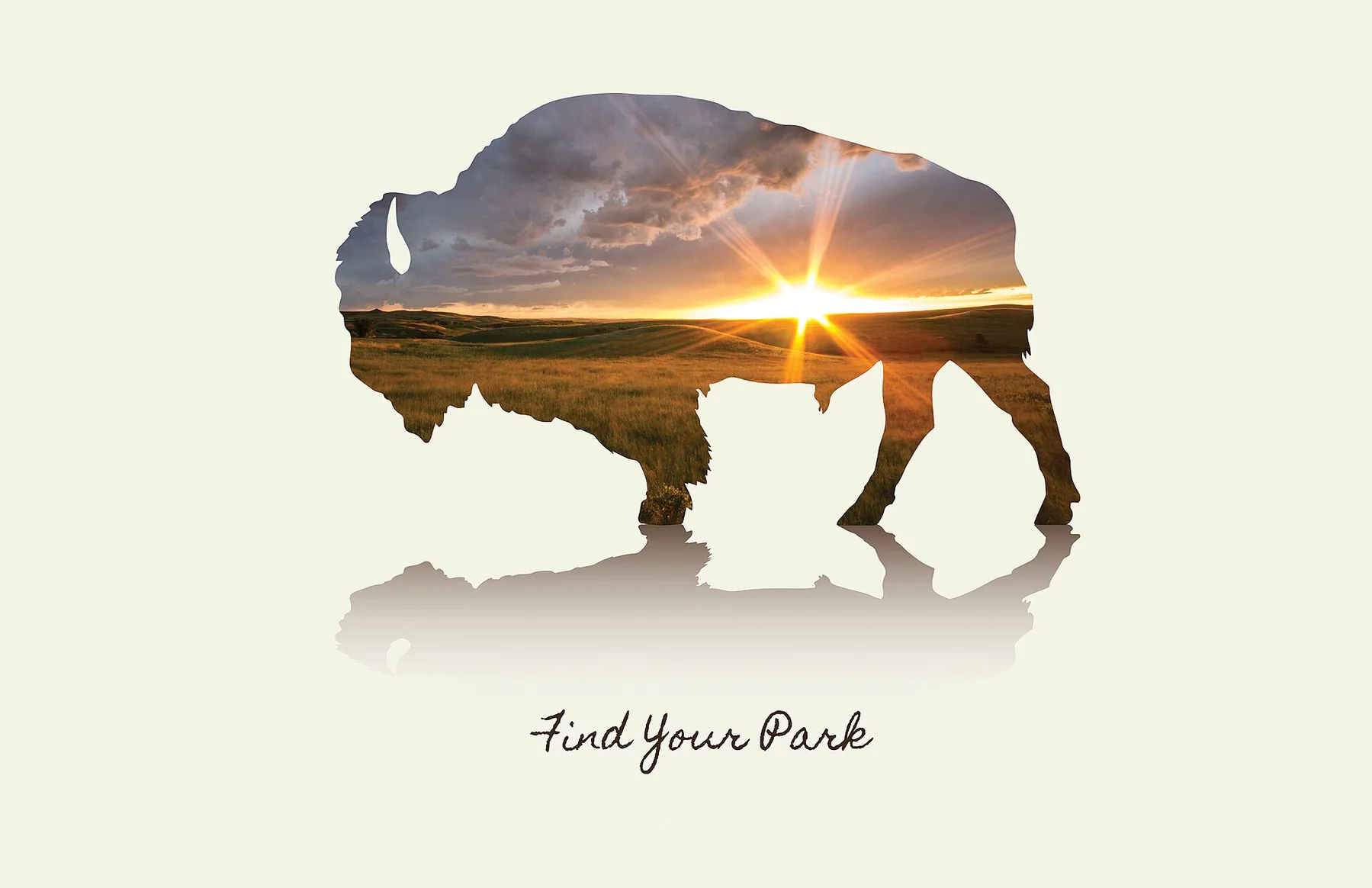 Bison image with sunset FROM Parcul National Theodore Roosevelt. (edd622ac-1dd8-b71b-0b5d-a4b0ab217825)