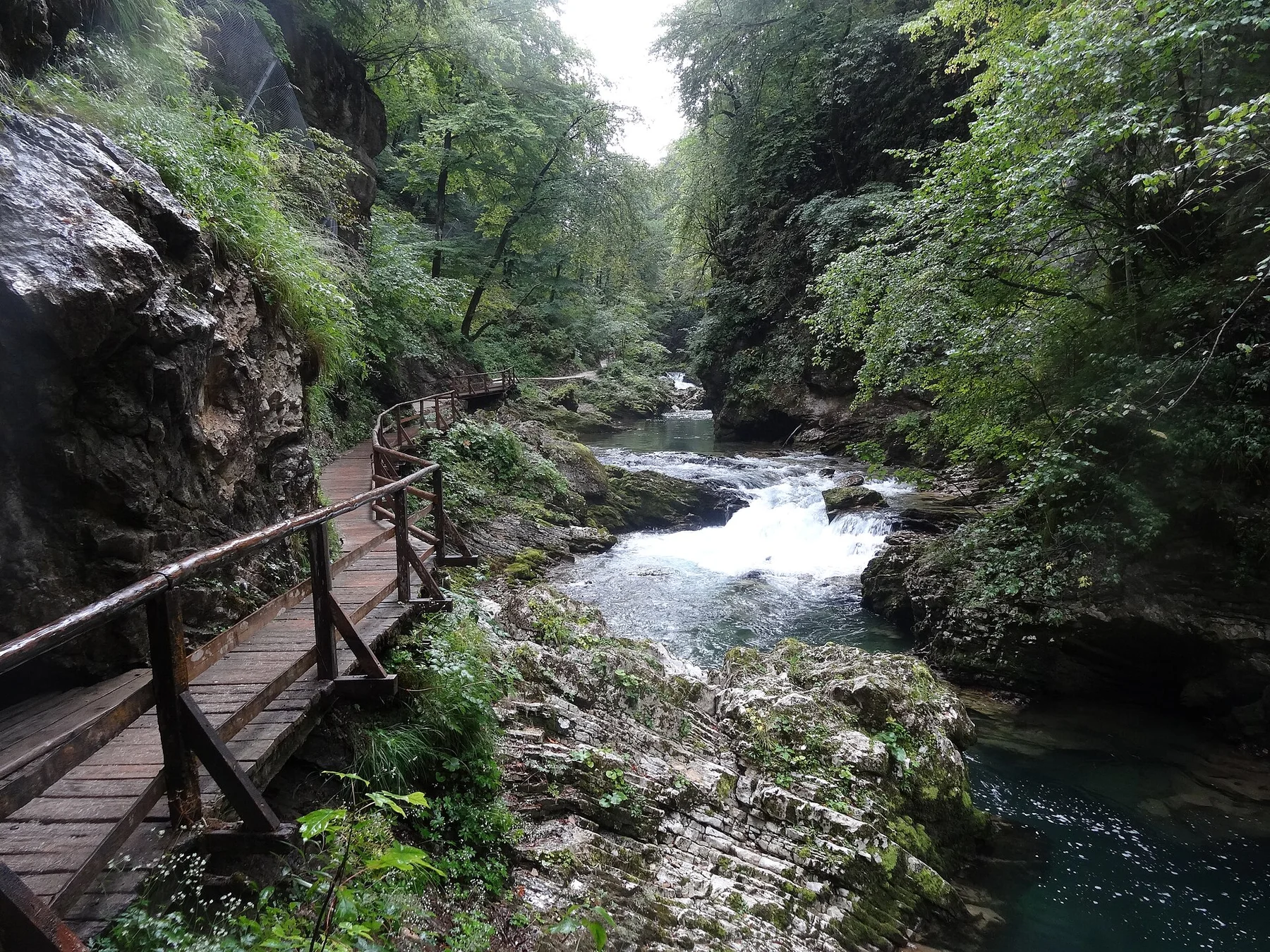 Gorges de Vintgar, Eslovènia (agost 2013) - panoramio (3)