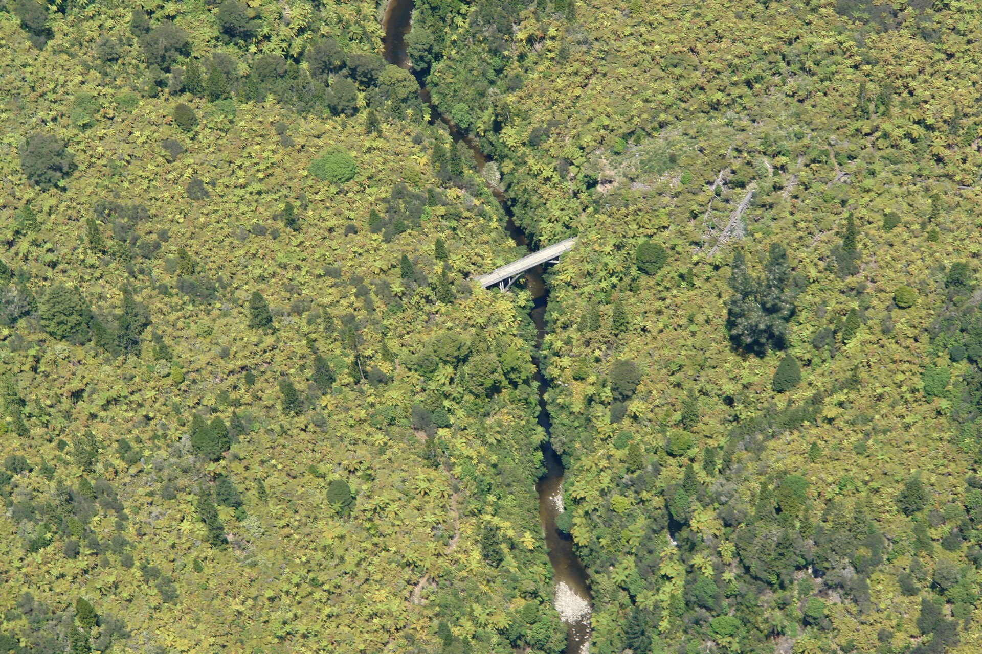 The Bridge To Nowhere - Whanganui - panoramio