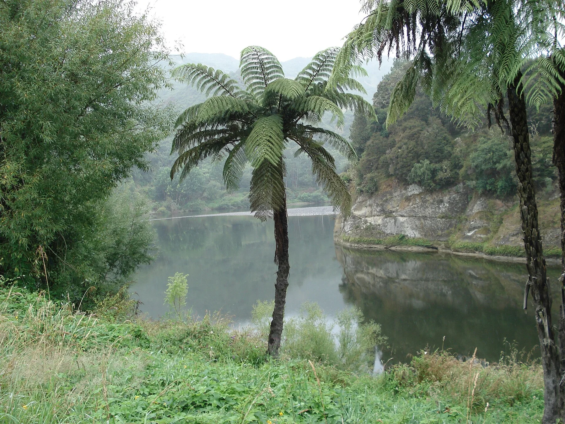 Whanganui River — view 4